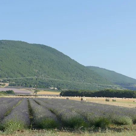Bed and breakfast Les Bois Rouges